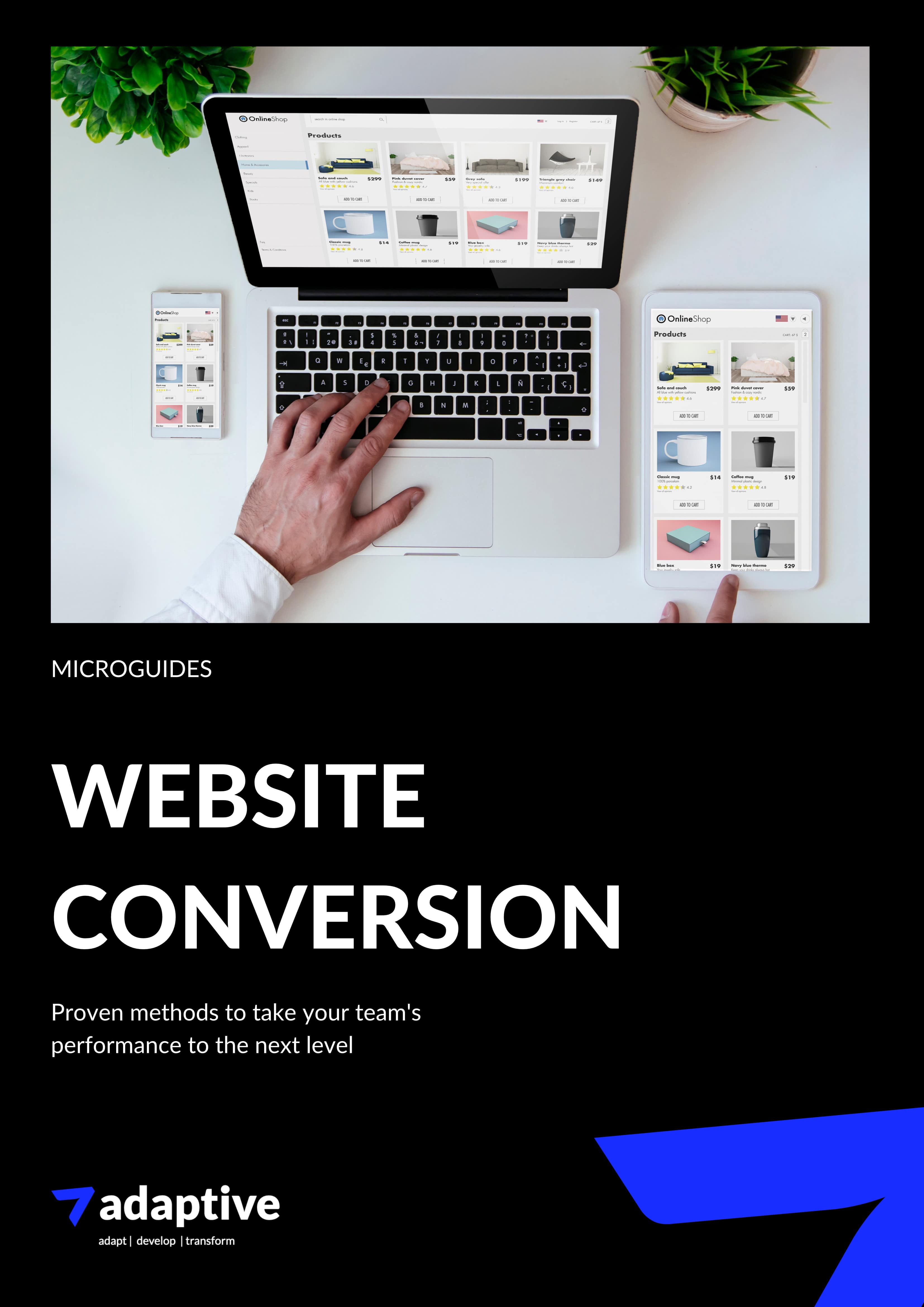 Website Conversion